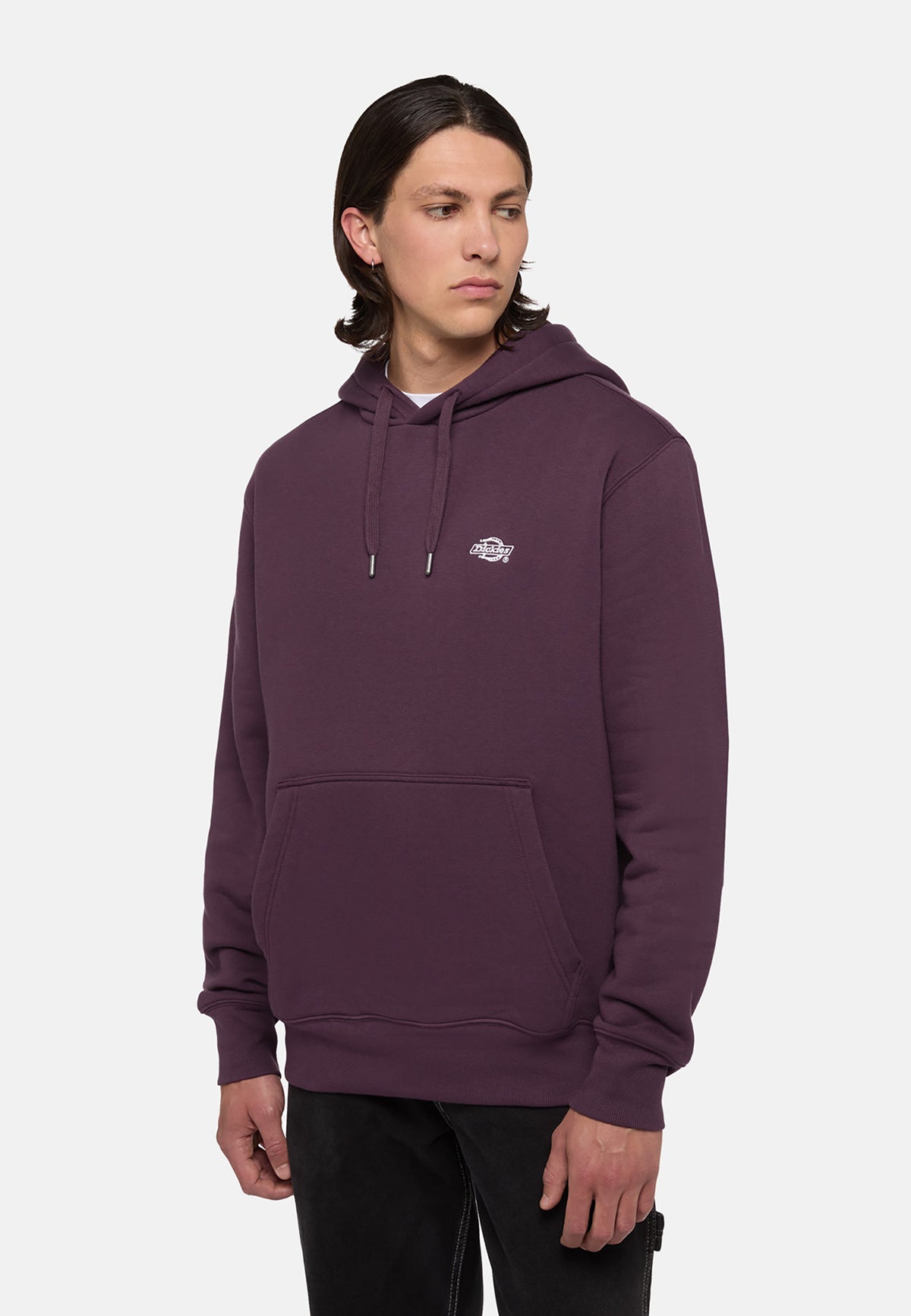 Dickies Summerdale Hoodie Uomo - 1