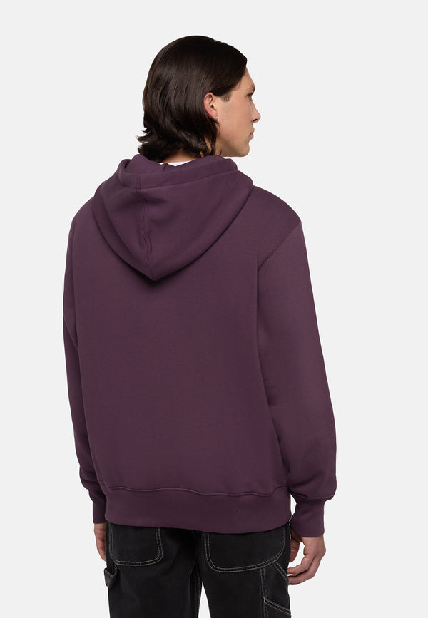 Dickies Summerdale Hoodie Uomo - 2