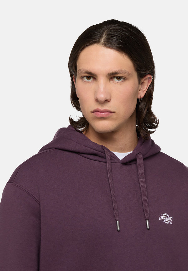 Dickies Summerdale Hoodie Uomo - 4