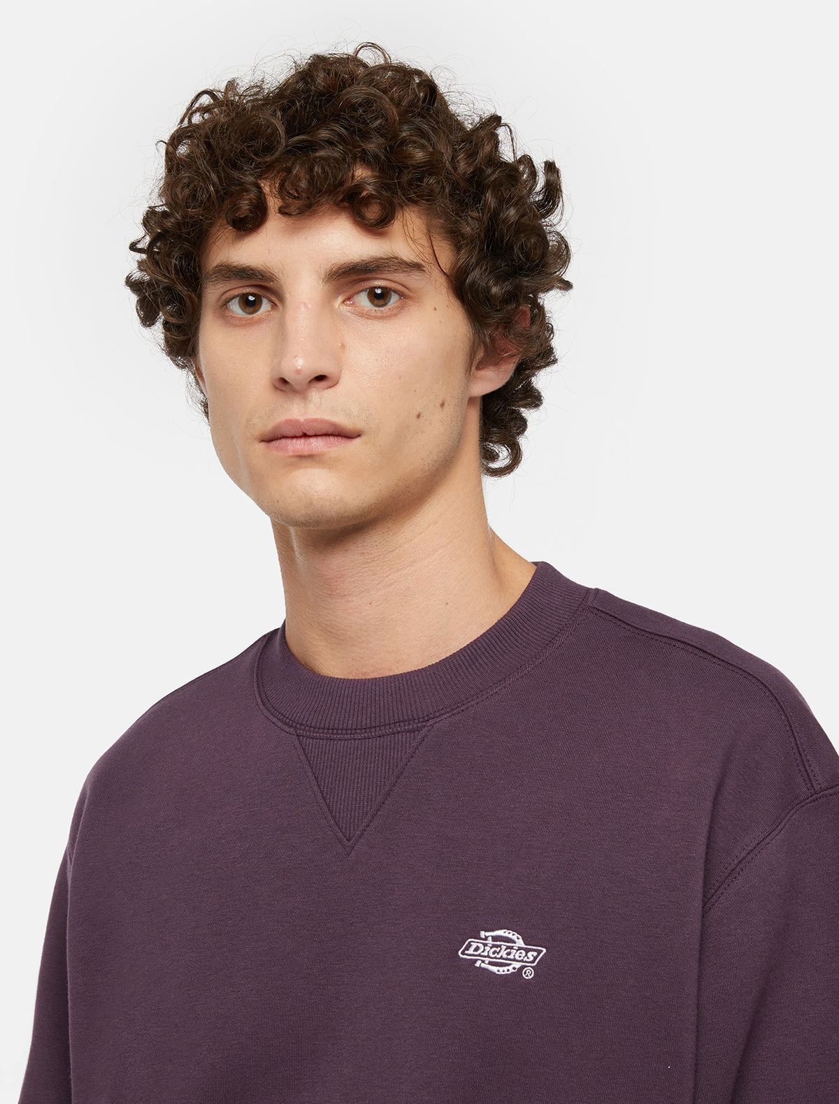 Dickies Summerdale Sweatshirt Uomo - 3