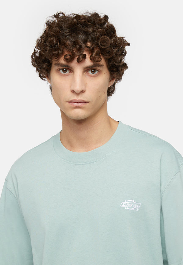 Dickies Summerdale T-shirt Uomo - 3