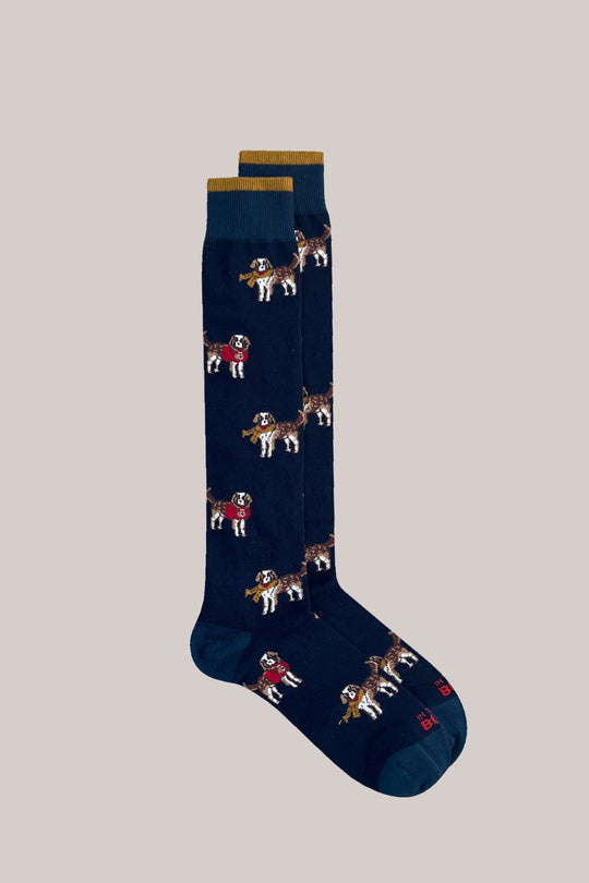 In The Box Calza Saint Bernard Dog Blu Uomo