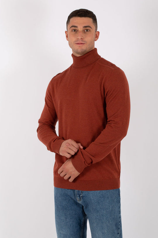 Selected Men's Noos Cotton Turtleneck